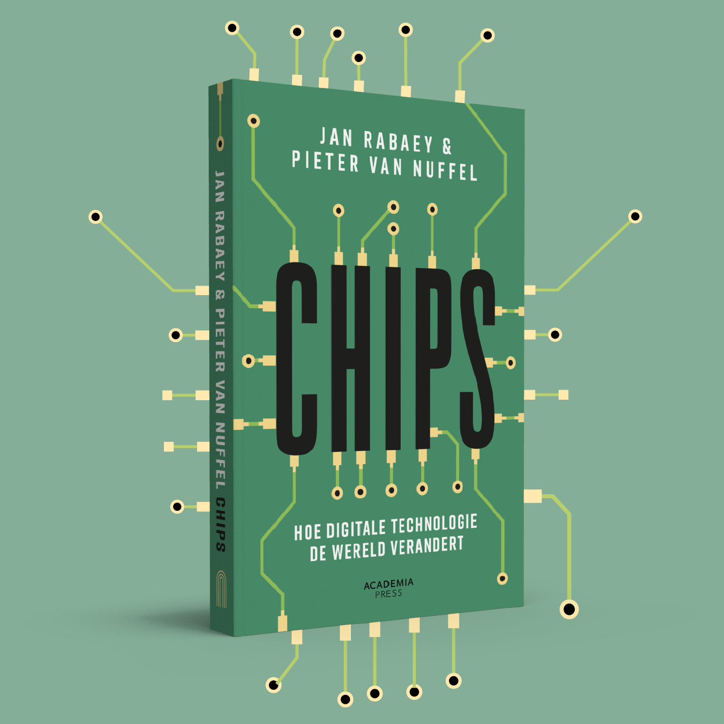 Chips cover